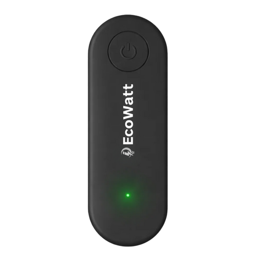 P: EcoWatt™